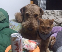 ウオッカとマイケル