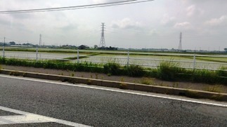 田んぼ沿いの道